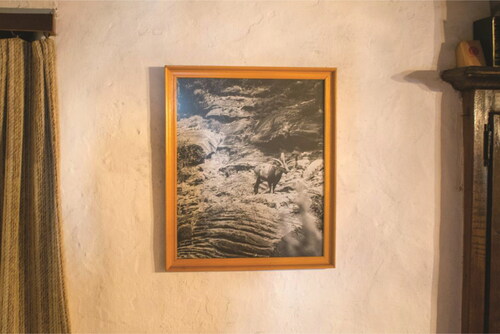 Figure 6. Photographed bucardo by Bernard Clos, hanging in Juan’s bedroom in Torla.