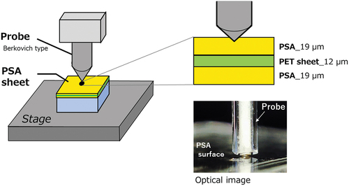 Figure 5. Schematic of the nanoindentation measurement of the PSA.