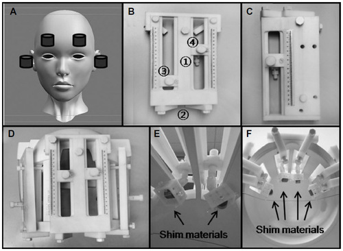 Figure 5 A passive shim assembly for the human head using niobium cylinders.