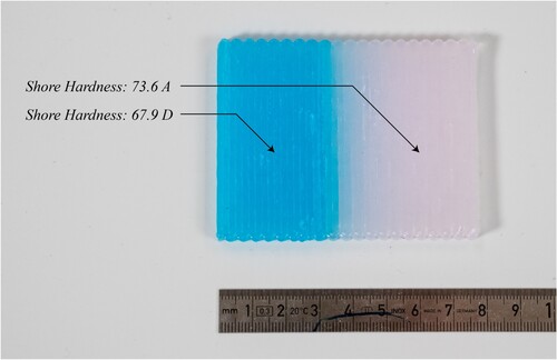Figure 4. Image of a 3D-printed geometry exhibiting both polyurethane mixtures. The hard-cured polyurethane had a Shore Hardness of 67.9 D and the flexible-cured polyurethane a Shore Hardness of 73.6 A.