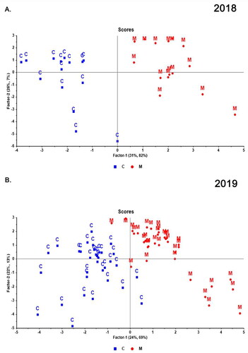 Figure 6. The scores plot of PLS-DA models for the impact of maceration during fermentation on cider volatile compound measured by GC-MS for all cultivars compared by treatment only in (A) 2018 and (B) 2019. ‘C’ denotes traditionally made ciders from pressed juice and ‘M’ denotes ciders that included maceration of apple pomace.
