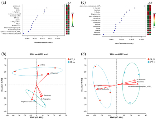 Figure 9. Joint analysis of microorganisms and metabolites. Random forest analysis (a) and RDA analysis (b) under ammonium treatment; random forest Analysis (c) and RDA analysis (d) under nitrate treatment.