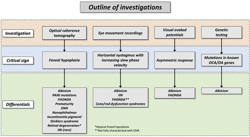 Figure 4. In evaluating patients with suspected albinism, the outline of investigations, characteristic sign that should be elicited with each investigative modality and differential diagnoses are shown.