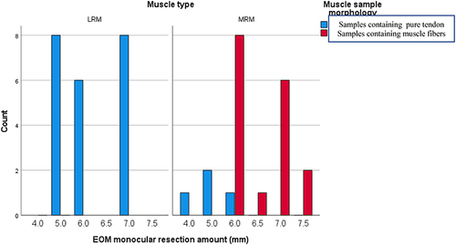 Figure 8 Muscle resection amount in relation to muscle morphology.