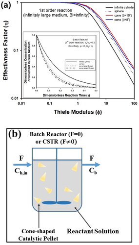 Figure 4. (a) Effectiveness factor (η) of cone-shaped, spherical, and cylindrical pellet. Inset graph contains transient concentration of reactant in batch reactor containing three different kinds of the pellets. All calculations were made assuming Bi → ∞. (b) Schematic figure of batch reactor or CSTR containing cone-shaped pellets (Pellet size is not to scale).