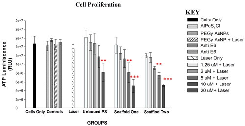 Figure 9. Post-irradiation ATP Luminescent signal of cells indicating significant decrease in proliferation of PDT treated cells (p < .01 as ** and p < .001 as ***) after 24 h. Control cells and groups treated with either of the variables alone did not show significant decrease in cell proliferation.