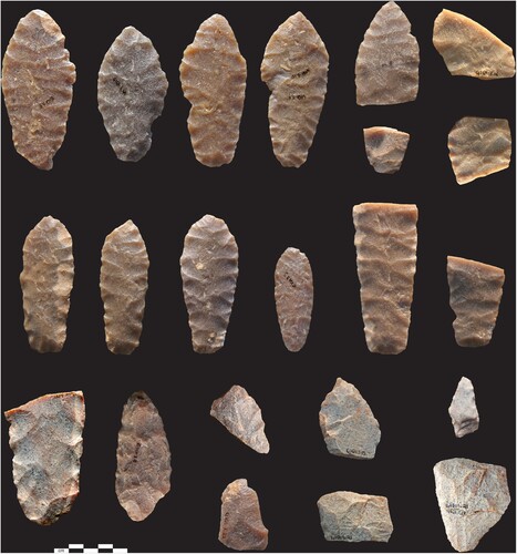 Figure 2 Unpatinated or lightly patinated surfaces of all the Poohkay (GlQl-3) artifacts recovered to date. Photographed courtesy of the Royal Alberta Museum.