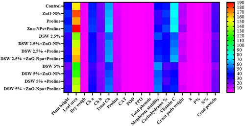 Figure 9. Heatmap analysis of the growth, physiological or biochemical attributes in pea plants unstressed and stressed (irrigated with diluted seawater: DSW 2.5% and DSW 5%) treated with ZnO-NPs, proline and their interaction, chlorophyll a (Ch a), chlorophyll b (Ch b), total chlorophyll (Total Ch), catalase (CAT), peroxidase (POD), polyphenoloxidase (PPO), potassium percentage (K%), phosphorus percentage (P%) and nitrogen percentage (N%).