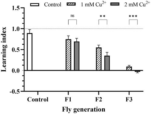 Figure 1. The decline in learning and memory ability of copper-treated larvae. The F1, F2, and F3 flies were independently trained in two sections, which were prepared using the odors n-amyl acetate, and 1-octanol. The control was the flier fed in the negative copper medium. LI was calculated by the relation of preferable AM or OCT indicated in EquationEquations (1)–(3). LI score > 0 indicated appetitive learning; LI score ∼ 0 indicated no evidence of learning and memory; if the LI score < 0, aversive learning had occurred. The values are introduced as the average ± amount of variation of triplicate experiments, and the difference was measured using t–test (p** <0.01; p***<0.001).