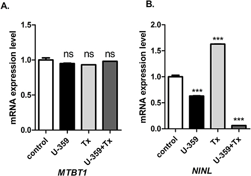 Figure 7 Real-time PCR analysis of MTBT1 (A) and NINL (B) expression in MCF-7 cells treated with U-359, Tx and U-359+Tx. Data are expressed as mean ± SEM. Statistical significance was assessed using one-way ANOVA and a post hoc multiple comparison Student–Newman–Keuls test. *** p <0.001 (statistical significance), In comparison with control.