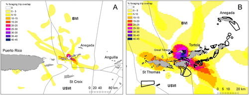 Figure 2. A, Percentage area overlap of the core foraging areas of all foraging trips of magnificent frigatebirds tracked from the breeding colony on Great Tobago, British Virgin Islands, overlaid with Exclusive Economic Zones of British Virgin Islands (BVI) US Virgin Islands (USVI) and neighbouring islands (white star marks the breeding colony). B, Percentage area overlap of core foraging areas overlaid with marine protected areas (existing and proposed in BVI and USVI (black lines).
