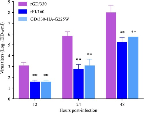 Figure 3. Multicycle replication of H5N6 avian influenza viruses in A549 cells. A549 cells were infected with three viruses at an MOI of 0.01, and the supernatants were collected at the indicated times and titrated in eggs. The data shown are the means of three replicates; the error bars indicate standard deviations. The statistical analysis was conducted by using multiple t tests. *, P<0.05 compared with the virus titers of rGD/330 virus-infected cells. **, P<0.01 compared with the virus titers of rGD/330 virus-infected cells.