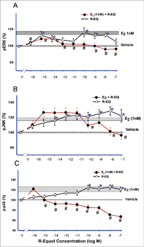 Figure 4. Dose-dependent effects of added R-eq on E2-induced MAPK activities. Cells were exposed for 5 min to a mixture of E2 (1nM, physiological concentration) and R-eq (range 10−16 to 10−7M). pERK (A), pJNK (B) and p-p38 (C) were measured compared to the activity level of the vehicle-treated controls (*= p< 0.05 vs. control) and the 1nM E2-induced (see horizontal stippled bars) pERK, pJNK and p-p38 levels (# = p < 0.05 vs E2).