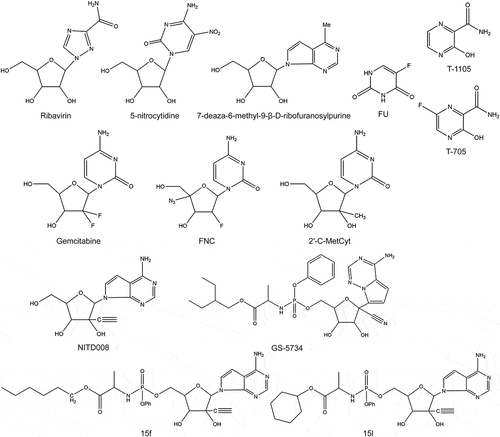 Figure 4. Structures of nucleoside/nucleotide analog inhibitors.