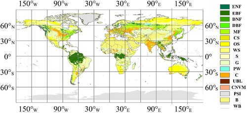 Figure 3. Global land cover data in 2019.