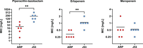 Figure 7: Minimal inhibitory concentrations (MICs) of piperacillin-tazobactam, ertapenem and meropenem for OXA-48-producing transconjugants. Transconjugants comprise P. mirabilis ARP (red dots, n=6) and E. coli J53 (blue squares, n=6), sharing isogenic pOXA-48-like plasmid variants. Black bars indicate the median. Two asterisks indicate a statistically significant difference of p ≤ 0.01.