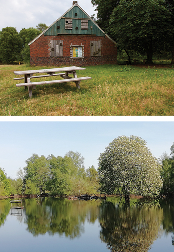 Figure 6. Upper image: former peasant house in a recently rewetted part of the Bargerveen nature reserve. The last residents left in 1967. More recently, the building was adapted to function as a habitat to wild animals, until it burned down after a lightning strike in 2018 (photo by Albert Raven, taken with permission from Raven Citation2015). Lower image: the present situation in the area (taken with permission from Wanders Citation2020).