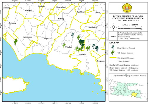 Figure 1. Map of kopyor coconut distribution in Wuluhan, Ambulu and Gumuk Mas sub-districts, Jember, East Java, Indonesia.