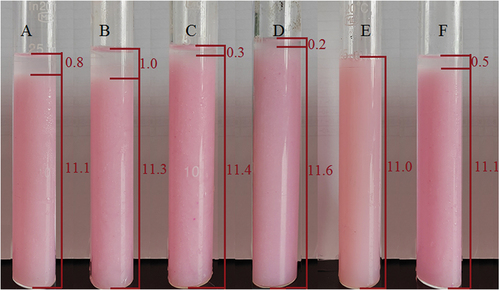 Figure 3. Effect of agar and xanthan gum combination on the stability of MRB, (A 0.05%~0.1%, B 0.05%~0.2%, C 0.05%~0.3%, D 0.1%~0.1%, E 0.1%~0.2%, F 0.1%~0.3%).