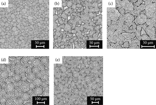 Figure 4. Processed SEM images of metallic powder material of (a) In718, (b) W, (c) AlSi10Mg, (d) Ti6Al4V and (e) SS316L for the calculation of fractal dimension and lacunarity through the differential box counting method.