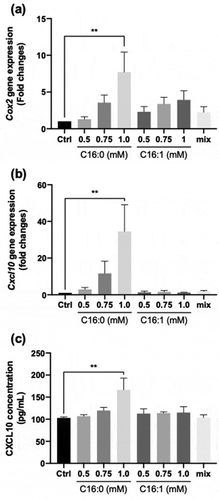 Figure 4. Effect of palmitic and/or palmitoleic acid on CXCL10 secretion and expression in C2C12 myotubes