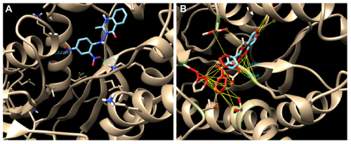 Figure 9 (A) Hydrogen bond (HB) interactions of compound 5g and (B) HB interactions and hydrophobic contact of compound 8c in the binding site of InhA.