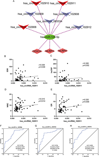 Figure 6 ceRNA networks, correlation analysis, and ROC diagrams. (A) ceRNA network. Red diamonds represent hub genes, green circles for miRNAs, blue V for circRNAs, and red V for circRNAs. (B–E) Correlation analysis between hsa_circRNA_102911 and ESR, hsCRP, WBC, GR inflammatory index. (F–H) Receiver operating characteristic (ROC) of differentially expressed circRNAs Between Gout and HC group.