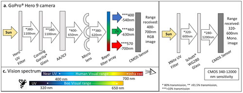 Figure 4. Internal visual remote sensor design. (a) GoPro Hero 9 RGB action camera (b) NID monochrome camera. * 80% transmission, ** >91.5% transmission, ***>10% transmission. (Bandara Citation2011; Corning Inc Citation2022; Dyer et al. Citation2015; Nieto et al. Citation2012; Präzisions Glas & Optik Citation2023; Taguchi and Enokido Citation2017).