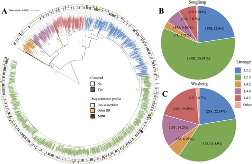 Figure 2. (A) Phylogeny, clustering, and resistance profile of 2212 Mycobacterium tuberculosis strains isolated in Songjiang. (B) The sublineage composition of isolates from patients in Songjiang. (C) The sublineage composition of isolates from patients in Wusheng.