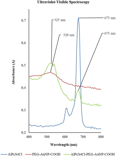Figure 2. Ultraviolet–Visible spectroscopy (UV‐Vis) of AuNPs, AlPcS4Cl and AlPcS4Cl‐AuNP dispersed in ddH2O, read at the spectral region between 400 and 800 nm. The absorption peaks are at 675 nm for AlPcS4Cl and 520 nm for PEG‐AuNP‐COOH. Post conjugation, ALPcS4Cl‐PEG‐AuNP‐COOH indicates absorption peaks at 525 nm and 675 nm.