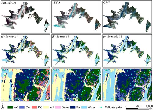 Figure 10. Mangrove species mapping based on multi-source combination images. (a) Scenario 4 (Sentinel-2A + GF-3 polarimetric images), (b) Scenario 8 (ZY-3 + GF-3 polarimetric images), and (c) Scenario 12 (GF-7 + GF-3 polarimetric images).