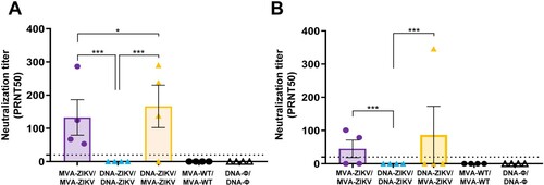 Figure 6. Induction of neutralizing antibodies by MVA-ZIKV in immunocompetent mice. Mice (n = 4) were immunized with MVA-ZIKV/MVA-ZIKV, DNA-ZIKV/DNA-ZIKV, DNA-ZIKV/MVA-ZIKV, MVA-WT/MVA-WT and DNA-ϕ/ DNA-ϕ and 10 (A) and 53 (B) days after the last immunization ZIKV-neutralizing antibody titters were analysed. Data represent the reciprocal of the serum dilution that inhibited plaque formation by 50% (PRNT50), relative to samples incubated with negative control sera. Dashed line indicates the limit of detection (LOD) of the neutralization assay (1/20 dilution).