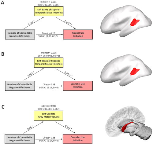 Figure 1. Mediation analysis shows how brain features explain relationships between controllable NLEs and initiation of alcohol and cannabis, respectively. Potential confounding effects due to age, gender, race/ethnicity, parental highest education level, pubertal stage, scanner type, and estimated intracrine volume were controlled in the mediation analyses. Cortical thickness of the left banks of the superior temporal sulcus mediates the effects of controllable NLEs on initiations of alcohol (A) and cannabis (B) use, respectively, (C) left caudate gray-matter volume mediates the effect of controllable NLEs on initiation of cannabis use. The figure includes the following regression coefficients: (1) the effects of controllable NLEs on each brain mediator; (2) the effects of brain mediators on initiation of alcohol and cannabis first use when adjusting for controllable NLEs; (3) the direct and indirect associations along with the 95%CIs between controllable NLEs and the onset of alcohol or cannabis use, respectively. *p < 0.05. **p < 0.001. The right column shows the location of each corresponding brain region. Note, NLEs and substance initiation data were collected at the same visit. While brain feature measures were collected at the visit before substance initiation, therefore, brain immaturity should be regarded as a pre-existing condition in the mediation analyses.