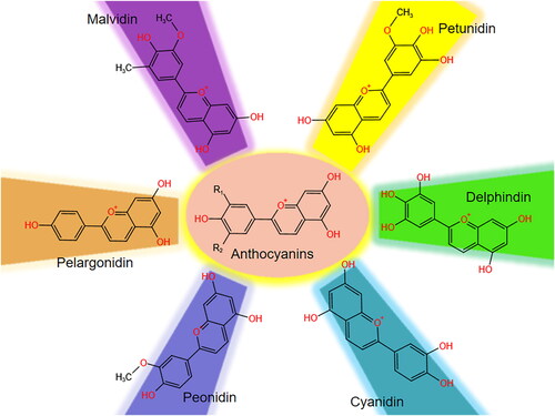Figure 1. The structure of the anthocyanin backbone and the most common anthocyanins.
