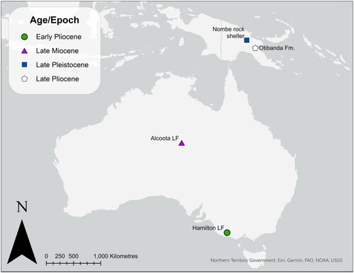 Fig. 1. Map of significant fossil localities mentioned in the text with epoch designated by symbol. LF = local fauna.
