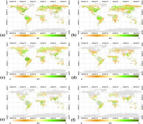 Figure 17. Global FVC with a spatial resolution of 10 m and a time resolution of 1 month in the second half of 2019. The months of the year are: (a) July; (b) August; (c) September; (d) October; (e) November; and (f) December.