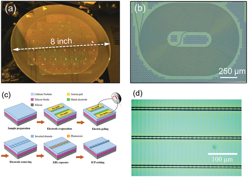 Figure 3. (a) Photography of 8-inch wafer during DUV lithography. (b) Optical micrograph of a spiral LNOI waveguide with a length of 11.49 cm [Citation45]. (c) The illustration of the fabrication of thin-film PPLN waveguide [Citation46]. (d) The optical micrograph of the waveguides and periodic poled domains [Citation43].