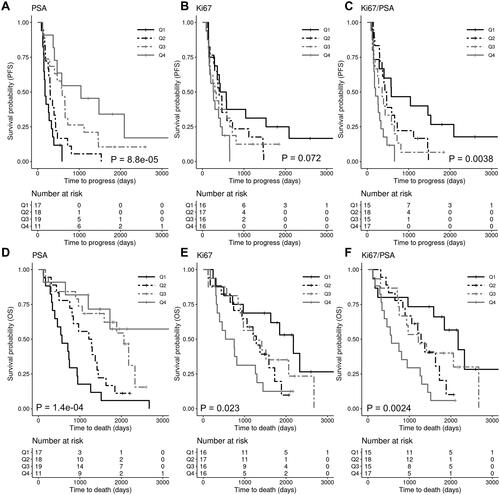 Figure 2. Kaplan–Meier analysis of survival in relation to Ki67 and PSA immunoreactivity scores. Progression-free survival (upper panels) and overall survival (lower panels) in patients grouped in quartiles based on PSA score (A,D), Ki67 score (B,E), and Ki67/PSA ratio (C,F). p values are indicated in the graphs.