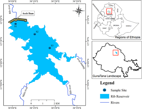 Figure 1. Study area map shows sampling sites at the Ribb Reservoir, Ethiopia.