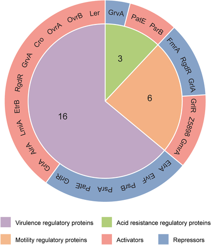 Figure 2. Pie chart showing the functional classification of OI-encoded regulatory proteins. each pie slice represents a major functional group of regulatory proteins. The values represent the number of regulatory proteins in a particular category.