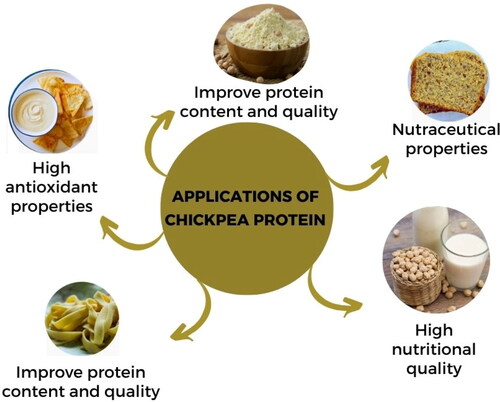 Figure 2. Industrial applications of chickpea proteins.