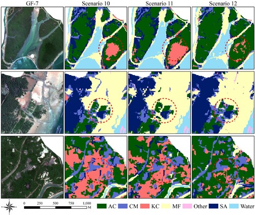 Figure 12. Mangrove species mapping by combining GF-7 multispectral and three polarimetric SAR images based on the AOS-EL model.