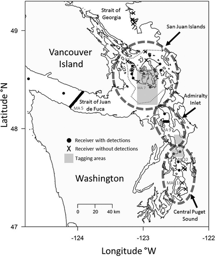 Figure 1. Study area map indicating the three tagging basins (outlined in dashed circles): San Juan Islands, Admiralty Inlet, and central Puget Sound. Tagging areas within basins (gray boxes), the receivers with detections (closed circles), and receivers without detections (x) are indicated.