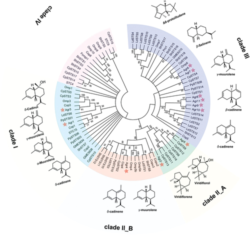 Figure 9. The typical sesquiterpene synthase phylogenetic tree in basidiomycetes, sesquiterpenoids produced by STSs (Agr1–Agr11) from Agrocybe aegerita.