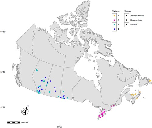 Figure 4. Map describing the geographic location of HPAI H5N1 clade 2.3.4.4b virus obtained from individual mesocarnivore, wild and domestic birds in Canada in 2021/2022. It illustrates viruses with similar reassortment patterns circulating in both mammals, and wild and domestic birds in the exact geographic location. Each shape was plotted on the map based on the exact longitude and latitude coordinates where the animals were found and were plotted on a cartographic boundary shapefile containing the existing provinces and territories of Canada using R programming. H5N1 viruses with the same reassortment pattern circulating in different animals are described using the same colour.