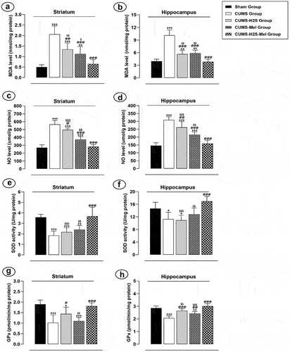 Figure 5. Effects of H2S (5.6 μmol/100 g) and Melatonin (1 mg/100 g) on Oxidative Stress Markers of rats exposed to CUMS. (a) NO concentration; (b) MDA level; (c) Catalase activity; (d) SOD activity. Mean ± SD (n = 7). +P < 0.05, ++P < 0.01, +++P < 0.001 vs Sham group; @P < 0.05, @@P < 0.01, @@@P < 0.001 vs CUMS group; $ p < 0.05, $$ p < 0.01, $$$P < 0.001 vs CUMS-H2S-Mel group; ANOVA/Post hoc (Tukey test).