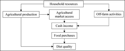 Figure 1. Agriculture-nutrition linkages at household level.Source: Adapted from Ogutu, Fongar, et al. (Citation2020).