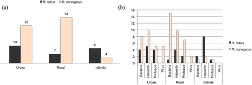 Figure 4. (a) Number of different zoonotic infectious agents found in the literature search by rat species and habitat (urban/suburban, rural/farm, oceanic islands). Where a genus is known to include species that cause disease in humans but no species is given, the genus is counted once for each habitat and rat species. (b) Number of different zoonotic infectious agents found in the literature search by taxonomic division, rat species and habitat.