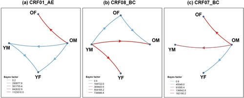 Figure 4. HIV migration events. Well-supported virus dispersal events among age-gender subgroups of (a) CRF01_AE, (b) CRF08_BC, and (c) CRF07_BC. Only results with a Bayes factor (BF) ≥ 3 and posterior probability support ≥0.9 are presented. Arrows indicate the direction of HIV migration events. The colours were chosen to visually distinguish the different level of BF values. Abbreviations: OF, older female; OM, older male; YF, younger female; YM, younger male.