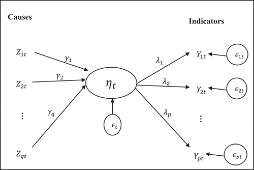 Figure 1. The general structure of the MIMIC model.